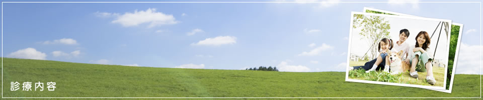 診療内容