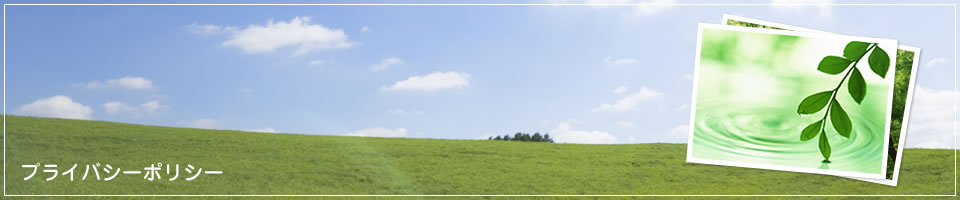 プライバシーポリシー