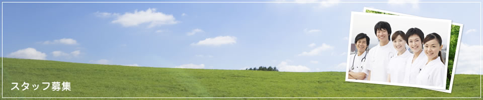 スタッフ募集